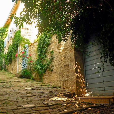 Vila Ruine-Motovun Dh Exteriér fotografie