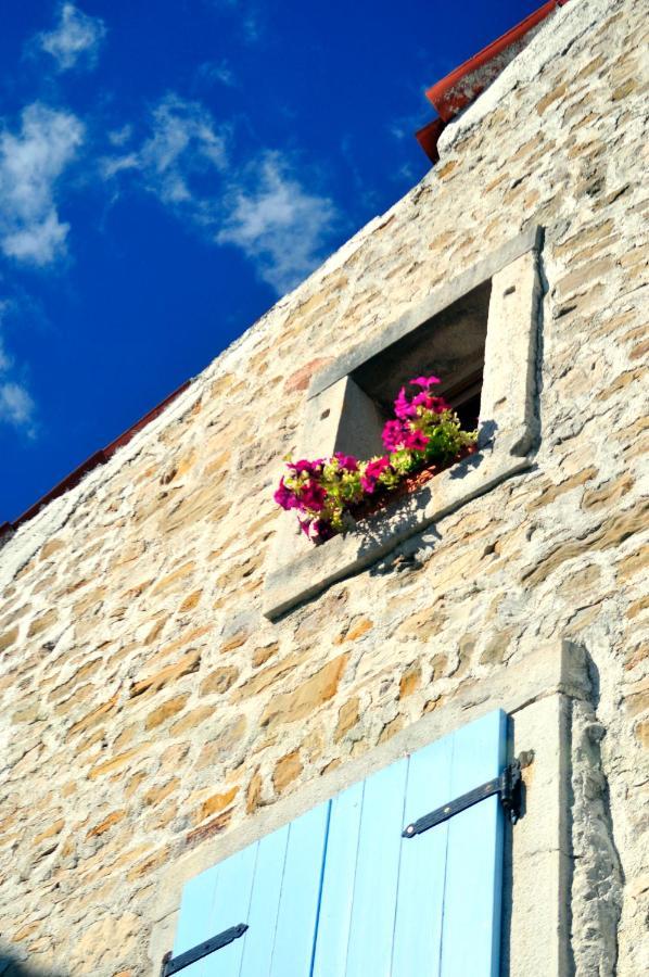 Vila Ruine-Motovun Dh Exteriér fotografie