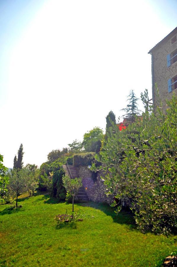 Vila Ruine-Motovun Dh Exteriér fotografie