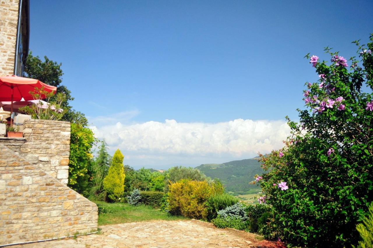 Vila Ruine-Motovun Dh Exteriér fotografie