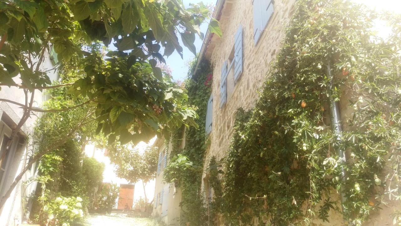 Vila Ruine-Motovun Dh Exteriér fotografie